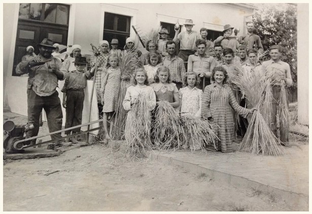 João e Sophia Gawlak em plantação de batata doce em Thomaz Coelho, déc. 1940, coleção da família de Estefano Jablonski Acervo do Arquivo Histórico Archelau de Almeida Torres.